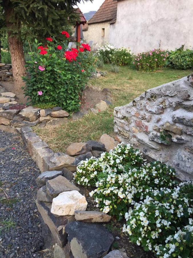 Luis Golyas Haza Villa Raposka Екстериор снимка